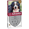 ADVANTIX 40/60 4 PIPETTE